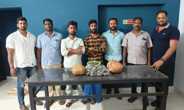 பெரியநாயக்கன்பாளையம் மதுவிலக்கு அமலாக்க காவல்துறையினர் கருமத்தம்பட்டி பகுதியில் கஞ்சா  விற்பனைக்கு வைத்திருந்த இரண்டு நபர்களை கைது   செய்தனர்