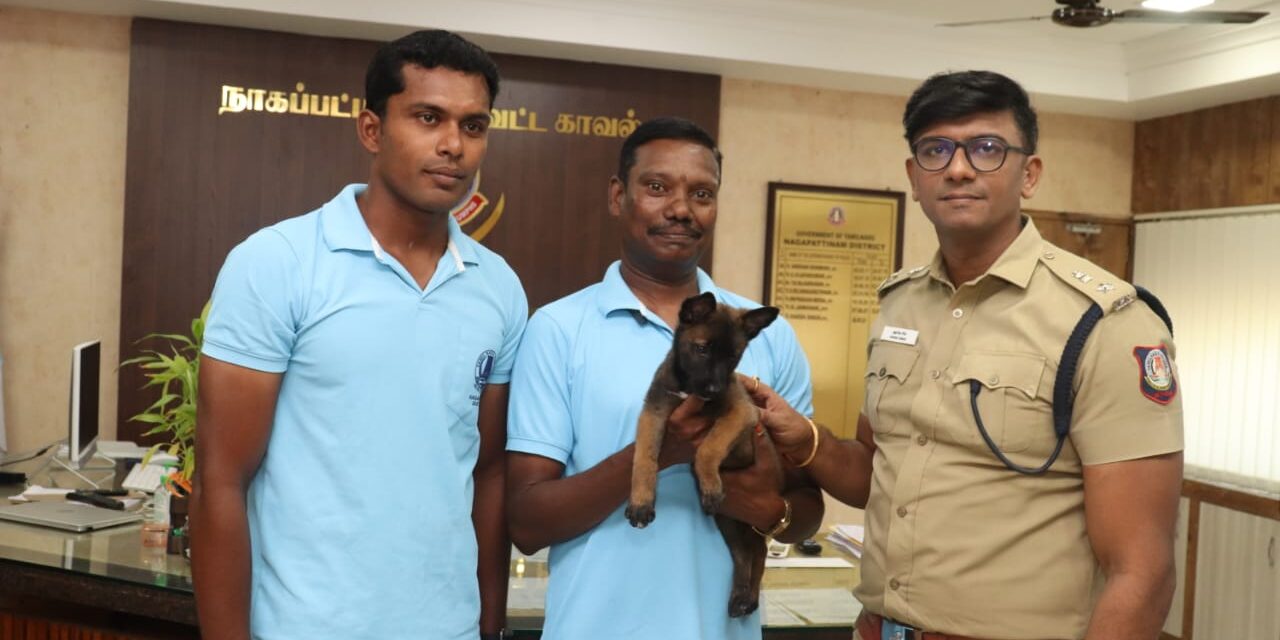 நாகை மாவட்ட காவல்துறையில் துப்பறியும் மோப்பநாய் படை பிரிவிற்கு புதிதாக சேர்க்கப்பட்டுள்ள பெல்ஜியம் மேலினோஸ் வகையை சேர்ந்த மோப்ப நாய்