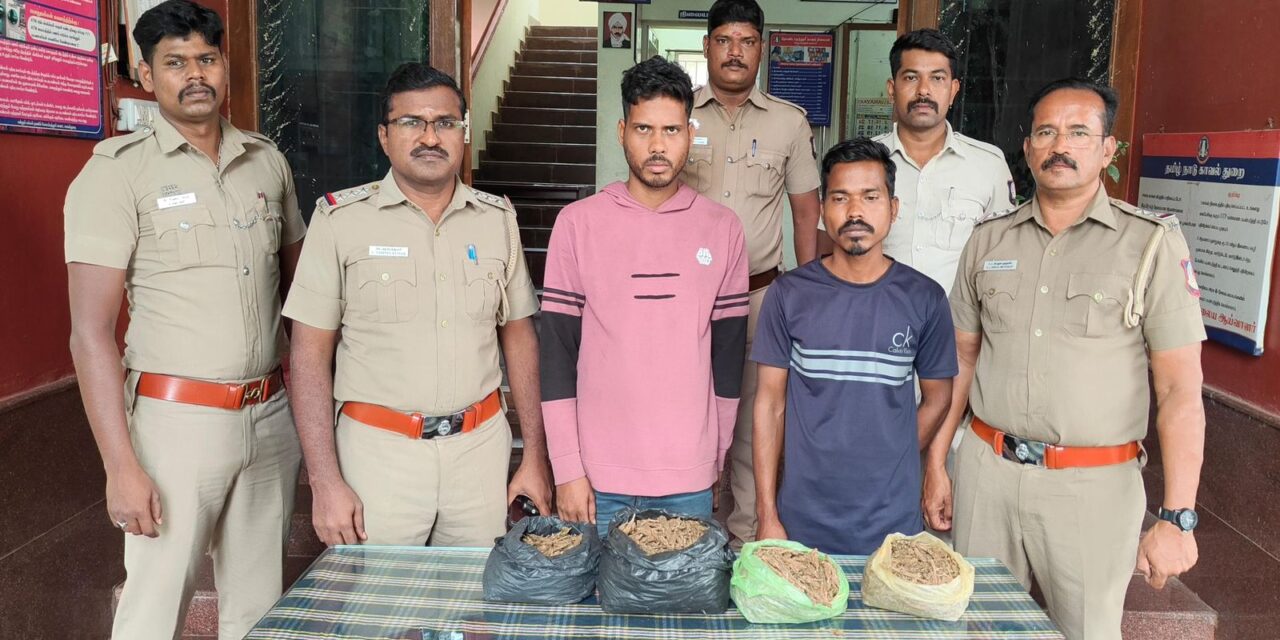 தொண்டாமுத்தூர் காவல் நிலையப் பகுதிக்கு உட்பட்ட மல்லிகை நகரில் கஞ்சா பறிமுதல்: இரு நபர்கள் கைது